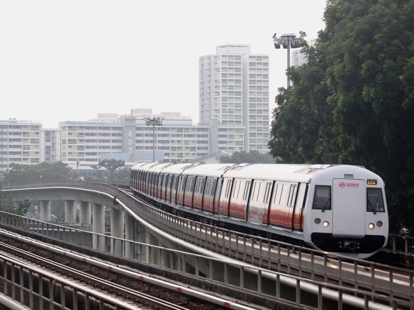 The delay affected services from Outram Park to Queenstown stations in the direction of Tuas Link.