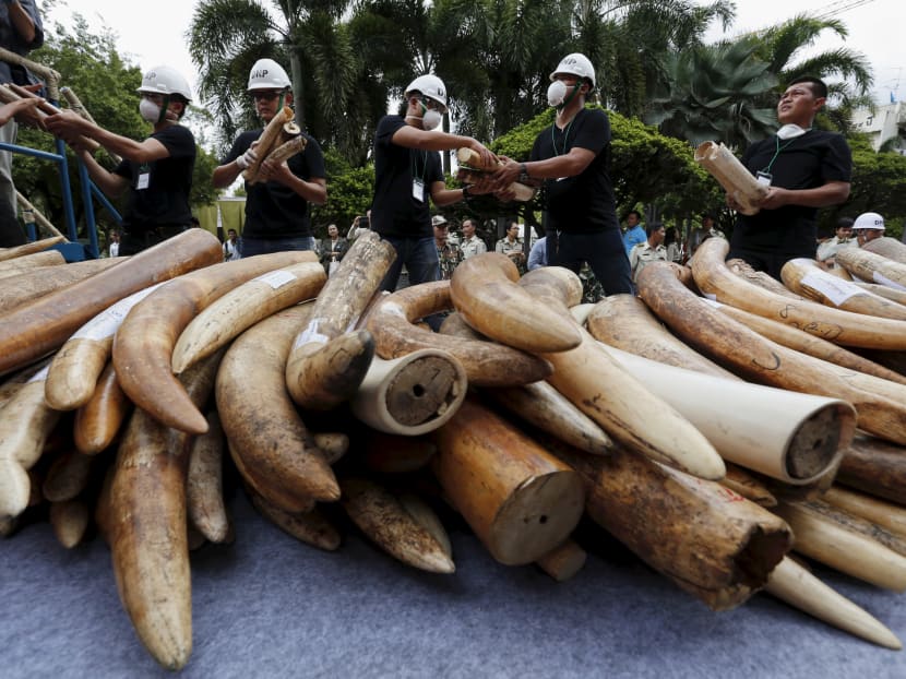Why S'pore's proposed ivory ban may not solve problem of illegal trade