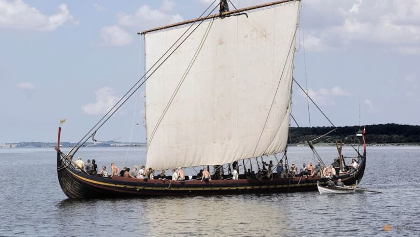 Study shows how Viking age left mark on genetics of Scandinavians Study shows how Viking age left mark on genetics of Scandinavians