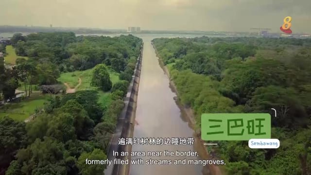 星期二特写 | 铁路边绿水旁：三巴旺
