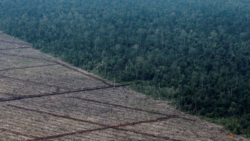 Indonesia signals about-face on COP26 deforestation pledge Indonesia signals about-face on COP26 deforestation pledge