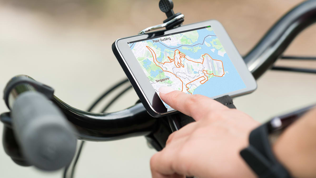 dinos-and-pandas-when-singapore-cyclists-get-artistic-with-their-gps-routes