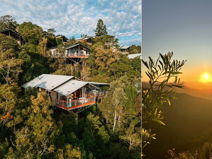 We stayed in the rainforest in Gold Coast and it was unreal — here’s why you should plan your itinerary around this little-known holiday retreat