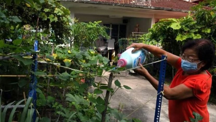 Menteri Besar Perak saran rakyat tanam sayur, ternak haiwan untuk kegunaan peribadi Menteri Besar Perak saran rakyat tanam sayur, ternak haiwan untuk kegunaan peribadi