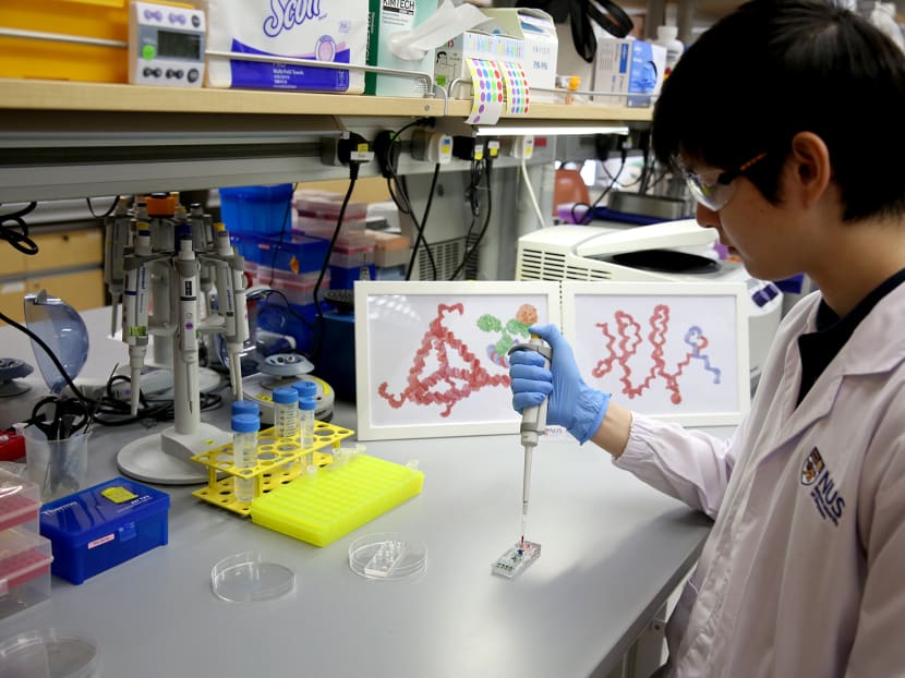 NUS researchers have invented a test kit that allows accurate cancer testing in two hours. NUS researchers have invented a test kit that allows accurate cancer testing in two hours.
