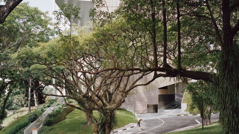 Youths urged to adopt sustainability as a 'core value' to help Singapore's green journey Youths urged to adopt sustainability as a 'core value' to help Singapore's green journey