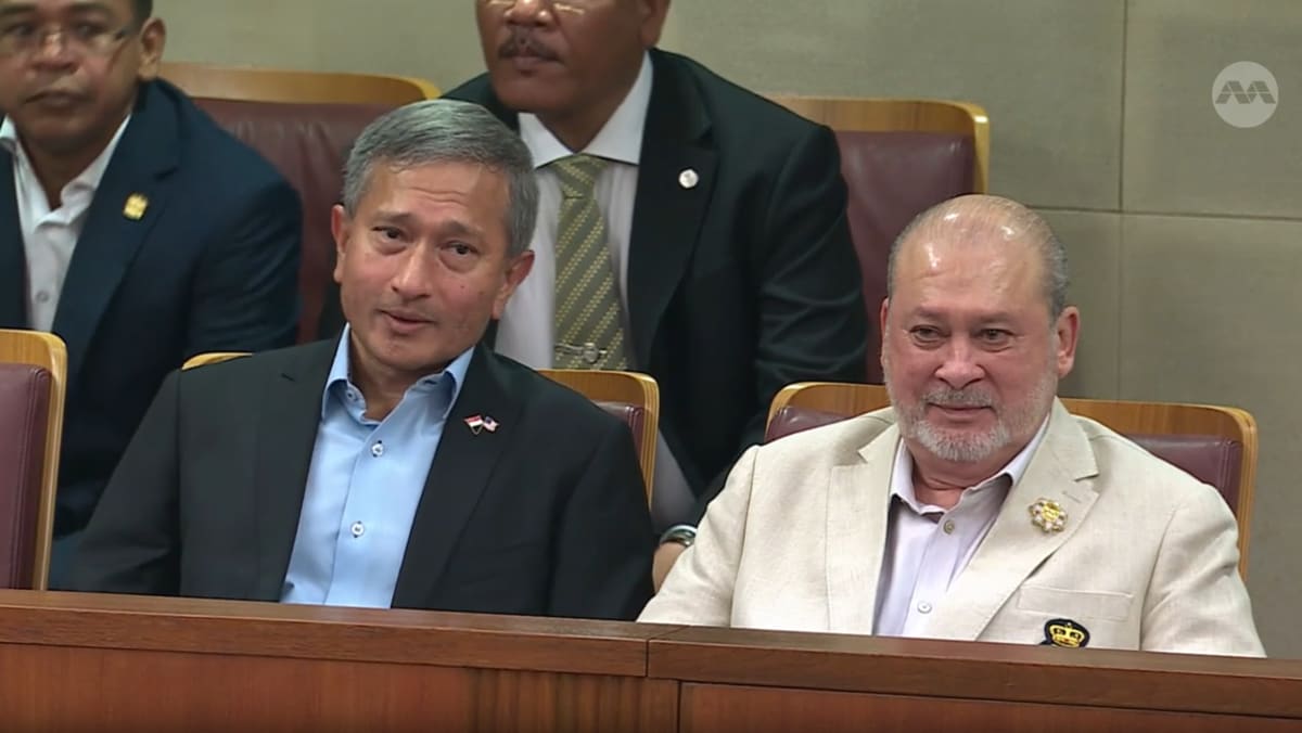 马来西亚国王在国事访问期间观察新加坡议会 – CNA