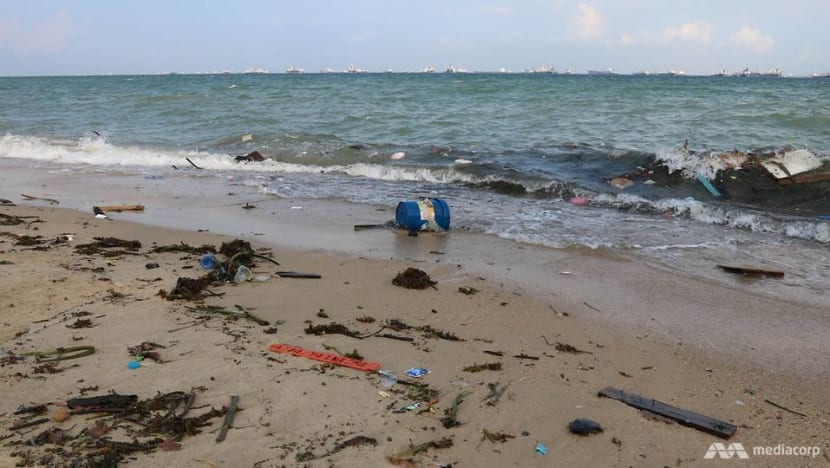 Singapore welcomes ASEAN declaration on tackling marine waste: PM Lee Singapore welcomes ASEAN declaration on tackling marine waste: PM Lee