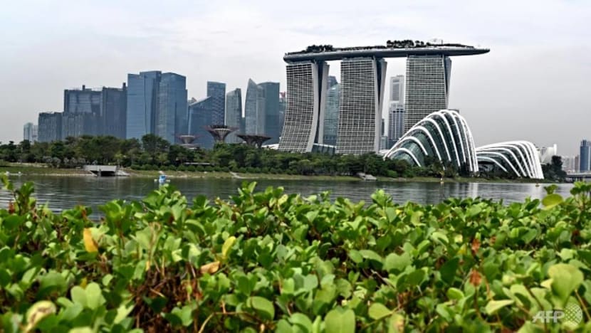 Commentary: The merits of Singapore’s new carbon trading marketplace Commentary: The merits of Singapore’s new carbon trading marketplace