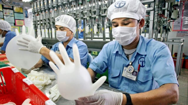 马国最大手套厂商宣布 暂停雪兰莪州工厂营运
