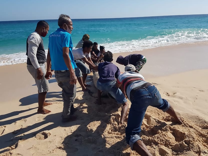 This handout picture taken and released on July 30, 2020 by Indonesian nature conservation agency (BKSDA) shows villagers trying to push a still-living whale back into the sea at Lie Jaka beach in Sabu Raijua, East Nusa Tenggara.