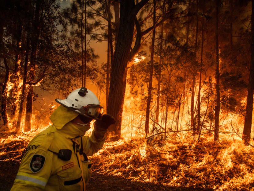 In an effort to create a firebreak, firefighters tend to a controlled burn on Jan 5, 2020, in Australia's Meroo National Park on the south coast of the state of New South Wales.