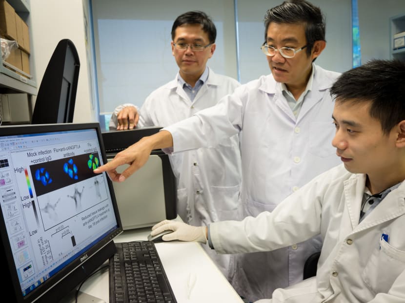 From left: NTU Assoc Prof Andrew Tan, NUS Assoc Prof Vincent Chow and NTU researcher Li Liang discussing the effects of the new antibody. Photo: NTU