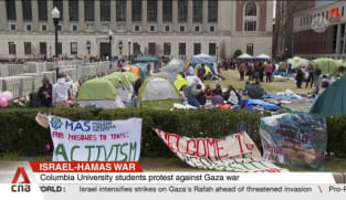 Over 100 arrested after pro-Palestine protests at US universities