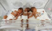 Main maternity hospital in Rafah stops admitting patients