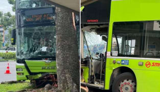 SMRT bus driver, 58, dies after crashing into tree in Woodlands; no commuters on board