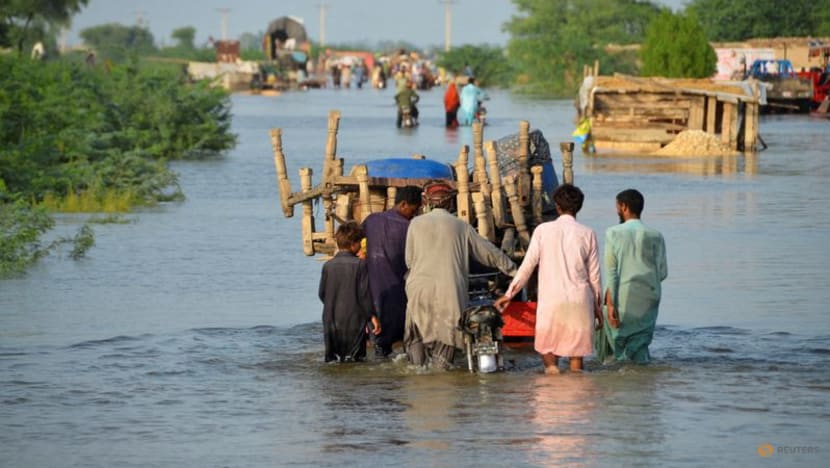Pakistan floods cost at least US$10 billion: Planning minister - CNA