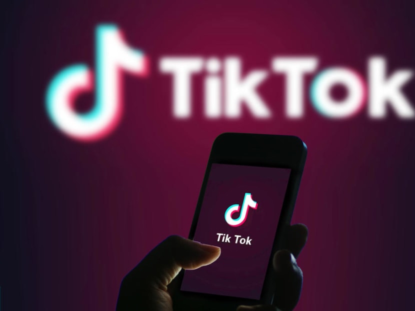 One of the author's teenage daughters had created a TikTok that had gained 114,000 views in a matter of days.