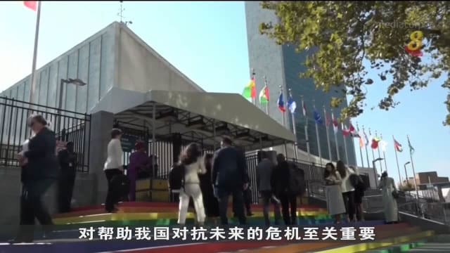 杨莉明吁在全球层面上 加强数码领域合作