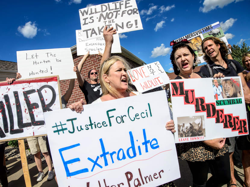 Ms Kristen Hall leads a group of protestors from Animal Rights Coalition and Minnesota Animal Liberation gathered in front of Dr Walter Palmer's dental practice, Wednesday, July 29, 2015, in Bloomington, Minnesota. Photo: Star Tribune via AP