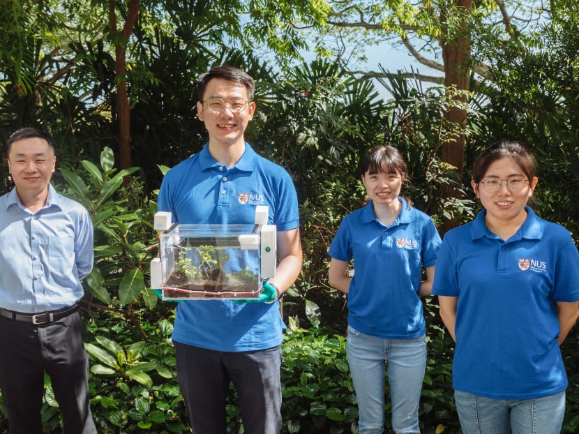 A research team led by Assistant Professor Tan Swee Ching (left) has created the SmartFarm device. The team members are Mr Qu Hao (second from left), Ms Yang Jiachen (second from right) and Dr Zhang Xueping (right).