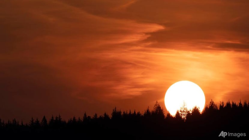 As cities bake on a warming planet, insurers cook up heatwave cover As cities bake on a warming planet, insurers cook up heatwave cover