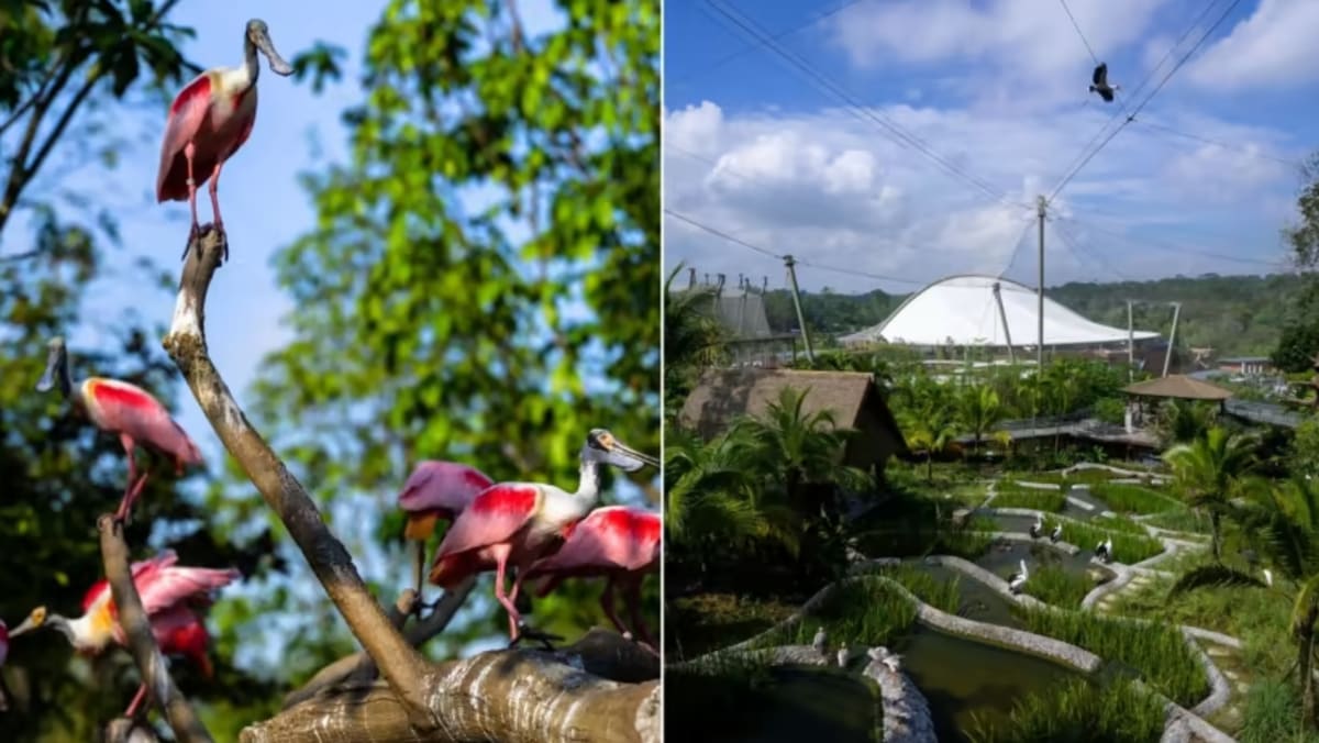 Taman burung baru 'Bird Paradise' dibuka pada 8 Mei dengan harga