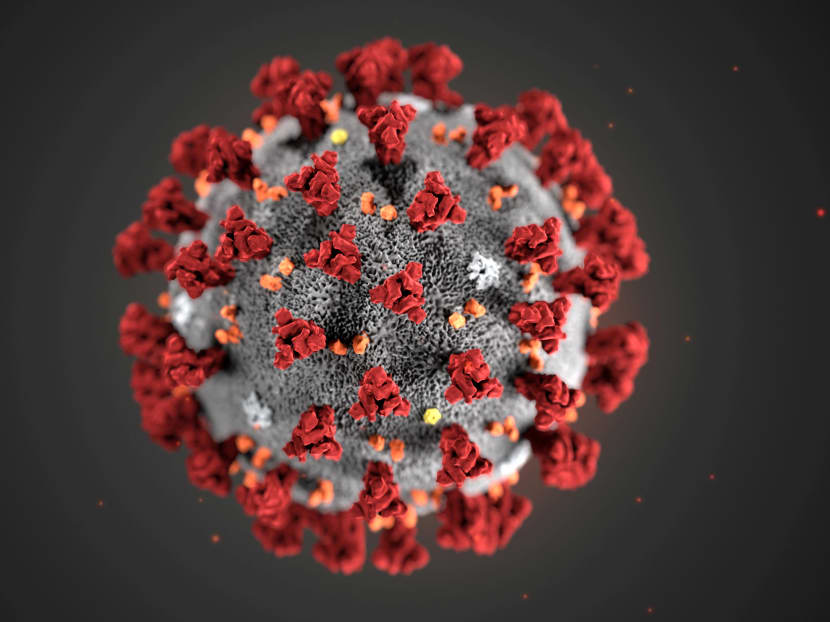 Virologist Zhang Hui and a team from Sun Yat-sen University in Guangzhou said their discovery added weight to clinical observations that the coronavirus was showing “some characteristics of viruses causing chronic infection”.