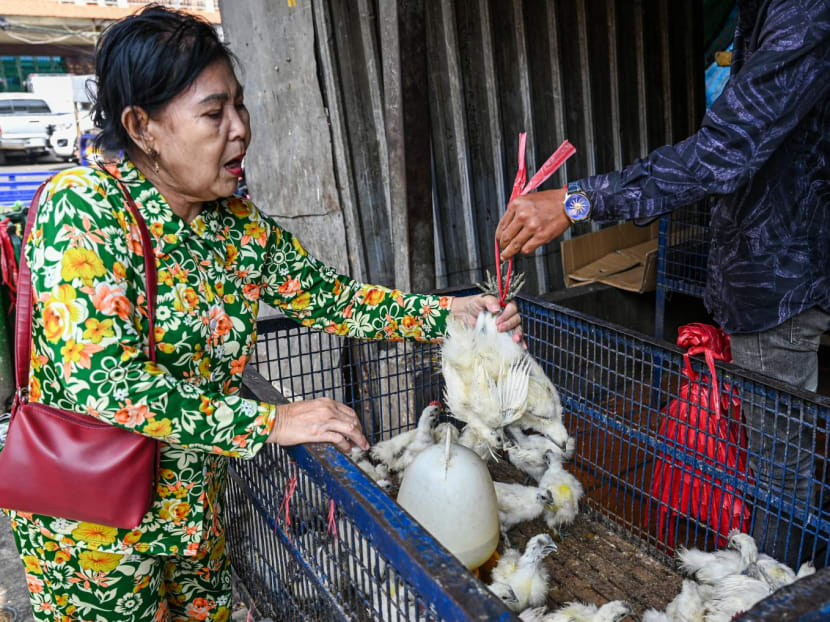 A woman buys chickens at a market in Phnom Penh on February 24, 2023. A woman buys chickens at a market in Phnom Penh on February 24, 2023.
