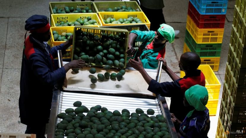 Africa's dream of feeding China hits hard reality Africa's dream of feeding China hits hard reality