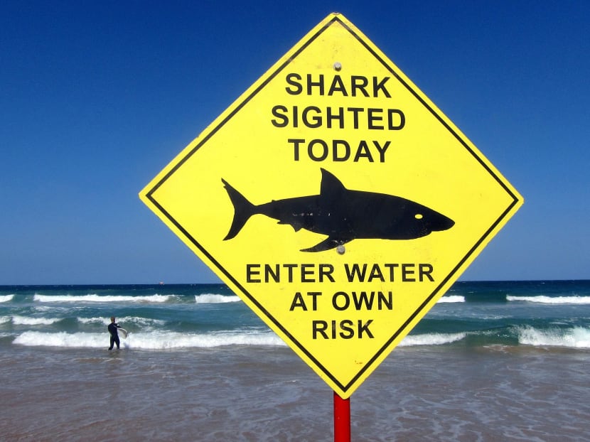 A surfer is killed, and Australia asks: Do more sharks need to die?