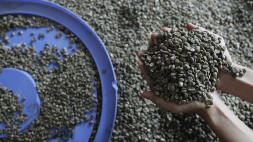 Penang Coffee Factory Ordered To Close After Rat Droppings Found Cna