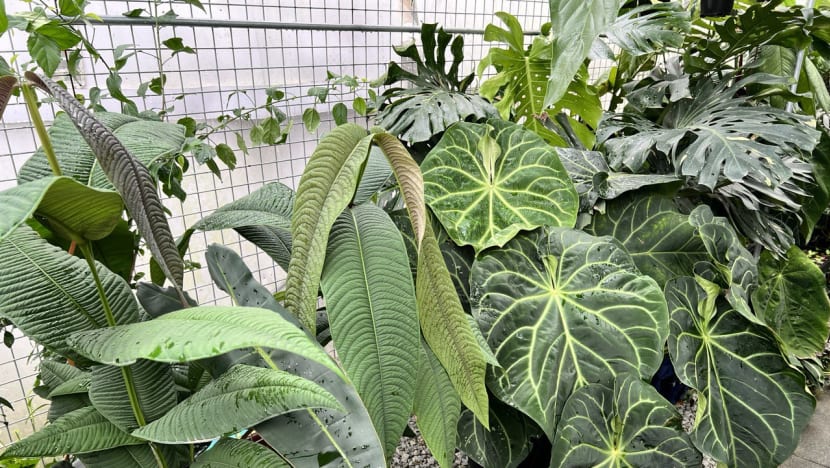 photo1662794119