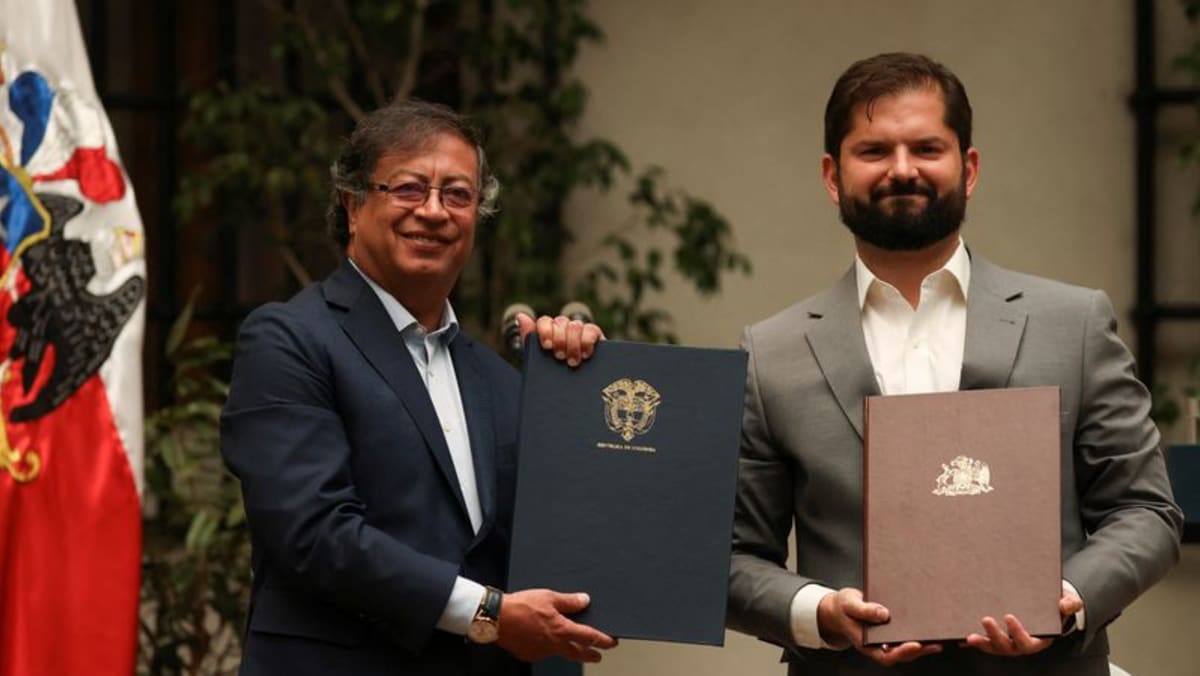 Chile y Colombia convocan a reunión extraordinaria de la OEA tras disturbios en Brasil
