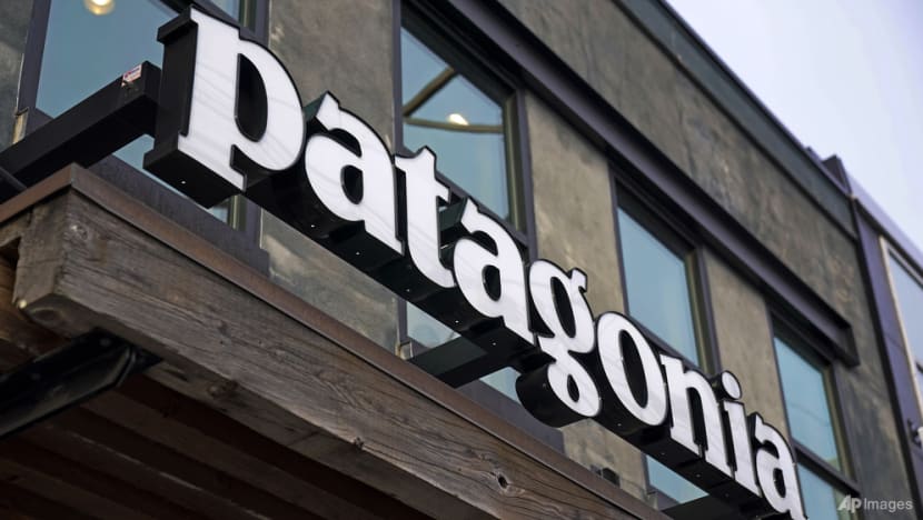 Commentary: Will more follow Patagonia’s bold lead and donate their companies to the Earth?