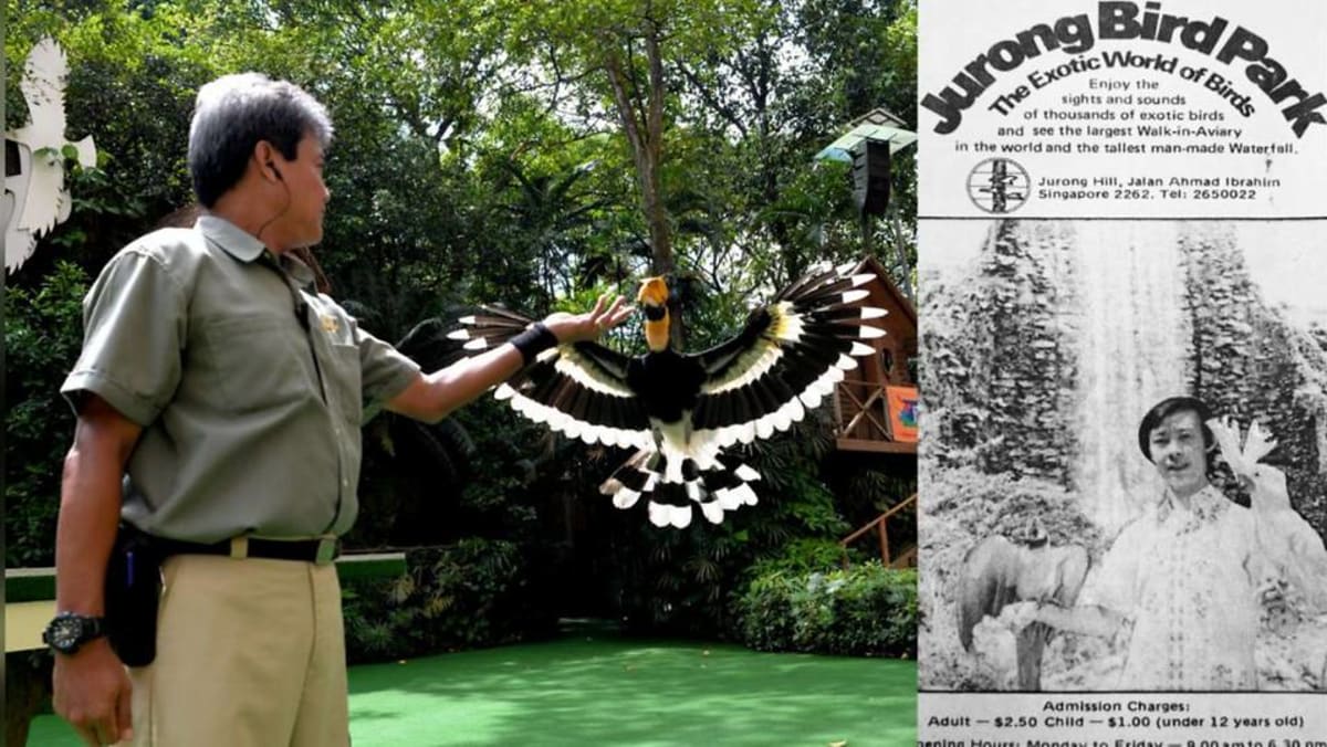 jurong-bird-park-marks-50th-anniversary-with-susd2-50-admission