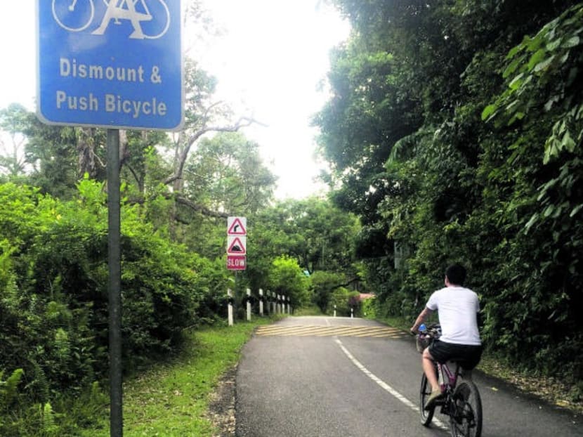 A cyclist in Pulau Ubin ignoring a sign advising cyclists to dismount and push their bicycles. TODAY file photo