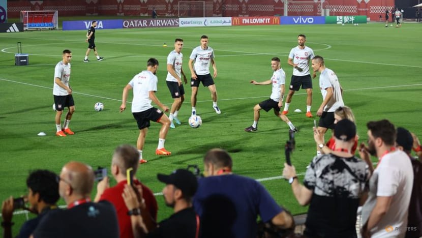 Poland's Cash asks Aston Villa team mate Martinez for World Cup favour Poland's Cash asks Aston Villa team mate Martinez for World Cup favour