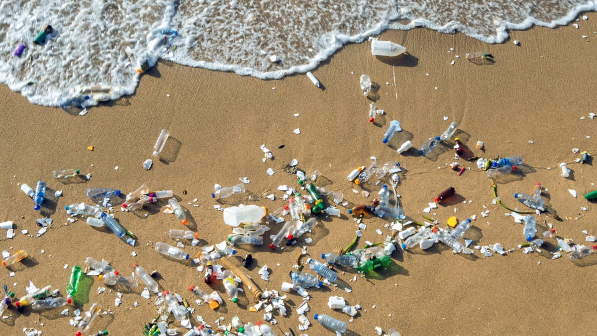 Asosiasi baru diluncurkan untuk membantu meningkatkan laju daur ulang sampah plastik di Singapura