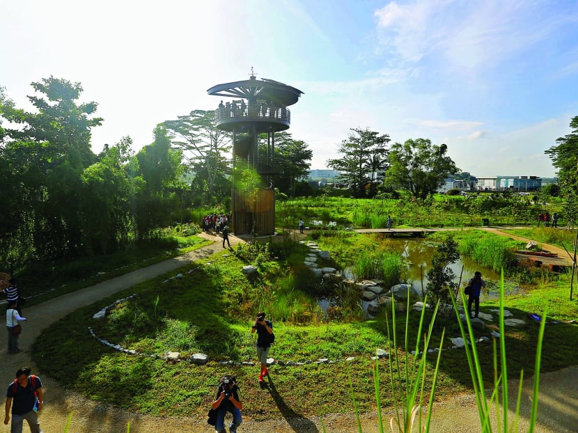 The Kranji Marshes, a 56.8-hectare freshwater marshland that is home to unique biodiversity. The Kranji Marshes, a 56.8-hectare freshwater marshland that is home to unique biodiversity.
