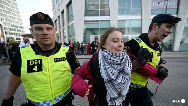 Swedish police push back protesters outside Eurovision arena