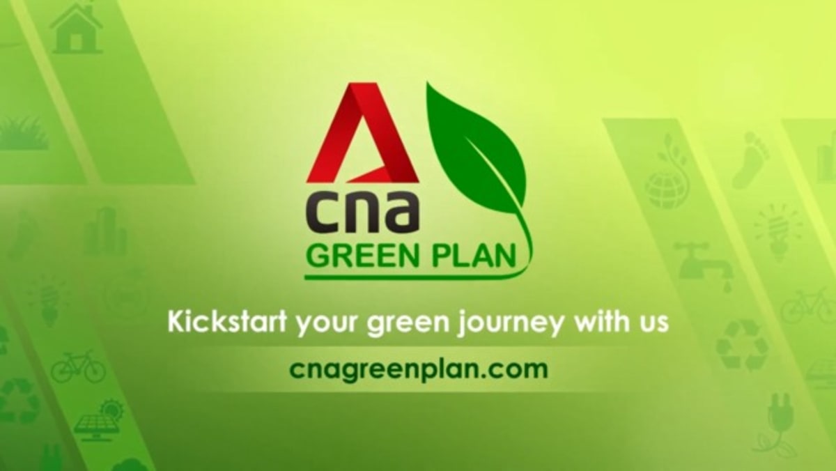 cna-green-plan-s1-dbs-version