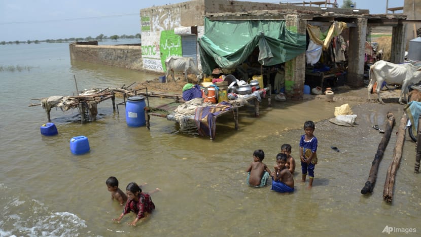 'Everything is destroyed': Pakistan flood survivors plead for aid 'Everything is destroyed': Pakistan flood survivors plead for aid