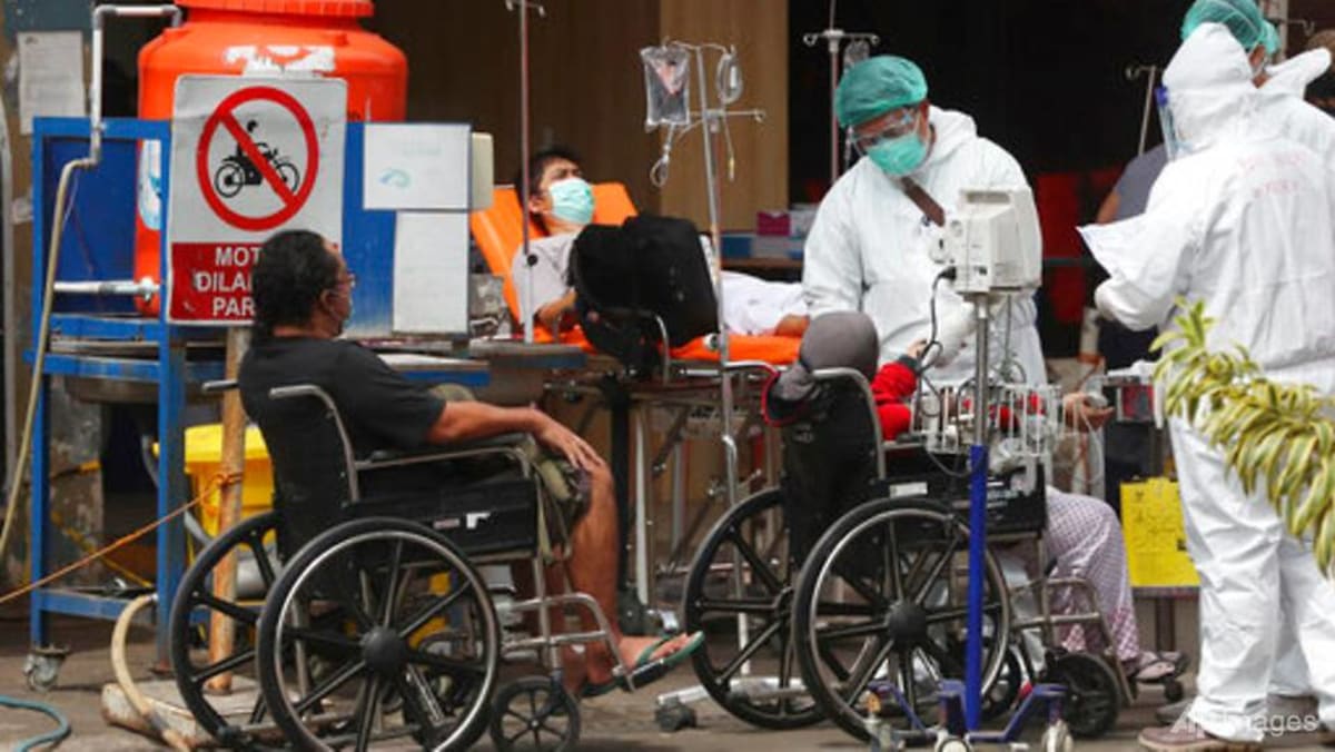 Indonesia memperkirakan situasi COVID-19 akan membaik minggu depan dengan pembatasan darurat dan lebih banyak tempat tidur rumah sakit: Menteri