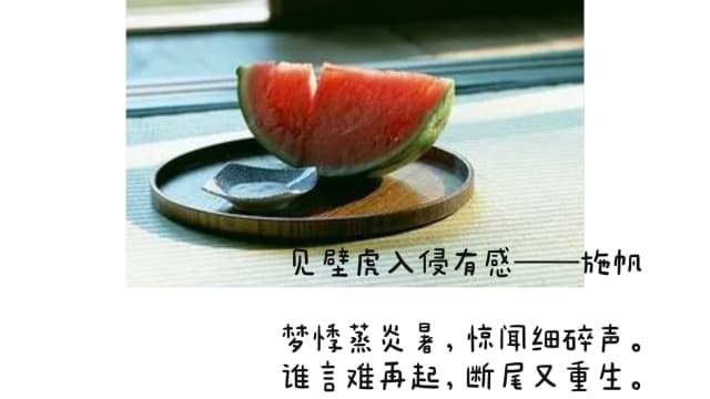 【笔耕园地】 见壁虎入侵有感