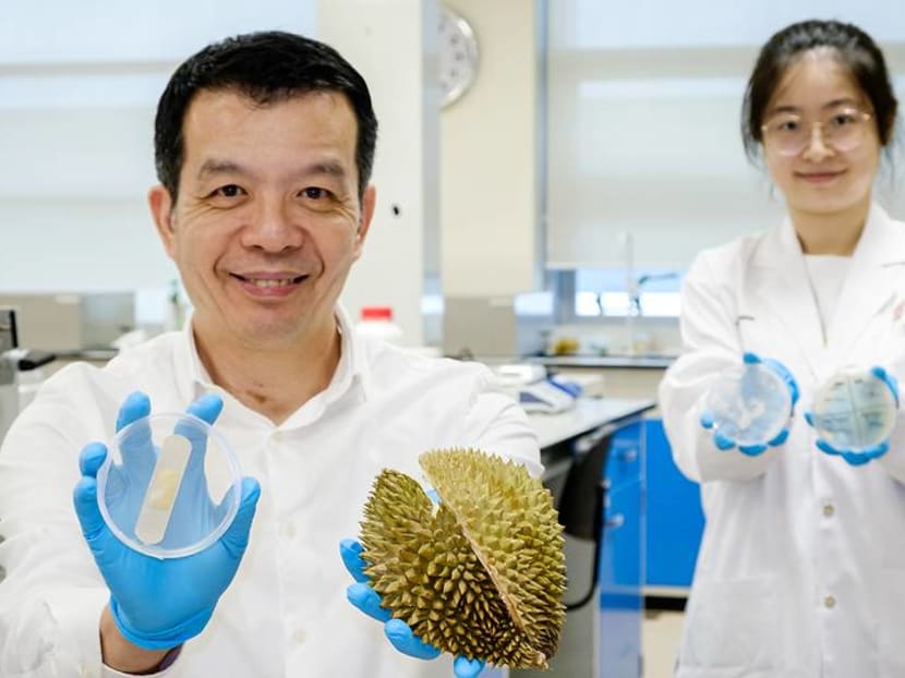 NTU scientists transform discarded durian husks into antibacterial gel bandages NTU scientists transform discarded durian husks into antibacterial gel bandages