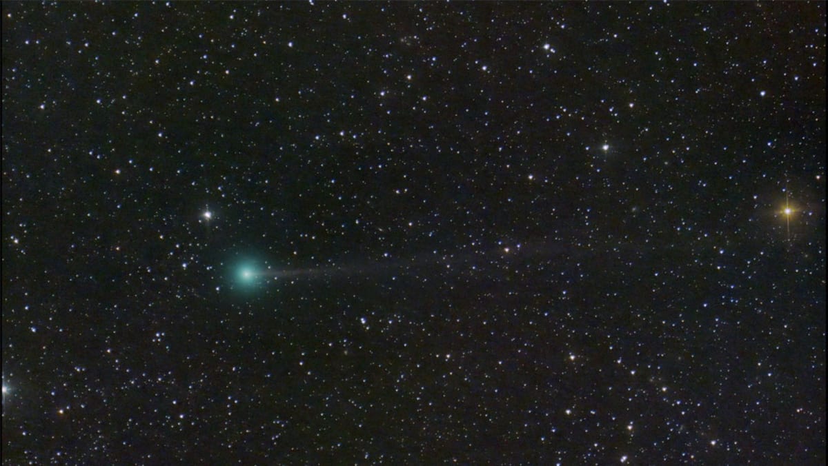 Newly discovered comet visible in northern hemisphere night sky this