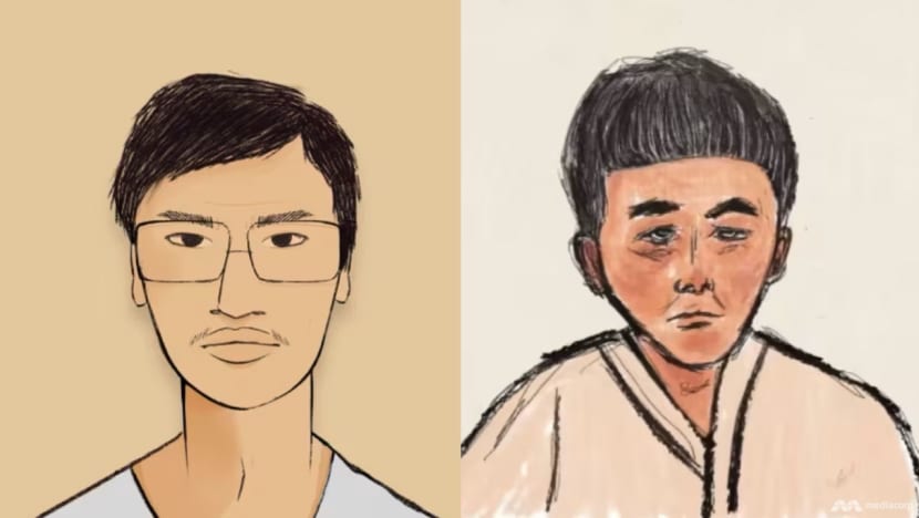 comp of illustrations of su wenqiang and su haijin