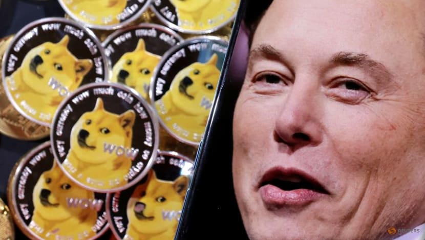 Elon Musk US$258 billion Dogecoin lawsuit expands Elon Musk US$258 billion Dogecoin lawsuit expands