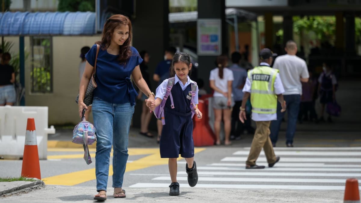 马来西亚华文学校吸引更多其他种族儿童，被指散布不团结